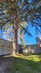 Eymet, P&eacute;rigord Pourpre, Dordogne, Nouvelle Aquitaine, France Europe