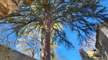 Eymet, P&eacute;rigord Pourpre, Dordogne, Nouvelle Aquitaine, France Europe