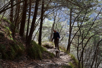 Obraz premium Mann und sein Lagotto Romagnolo Hund wandern im Trentino