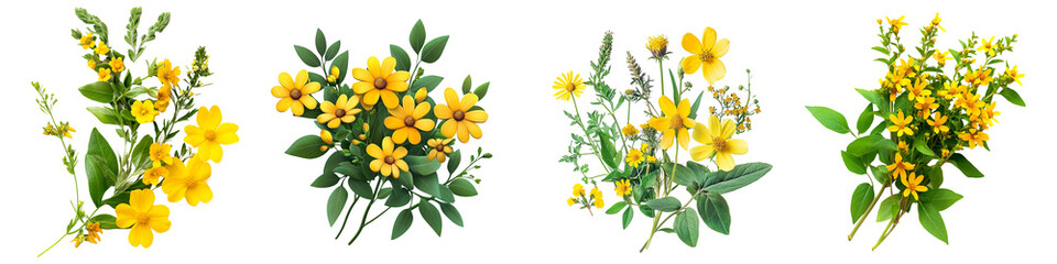Set of vibrant yellow wildflowers green leaves bright floral arrangement isolated on transparent background