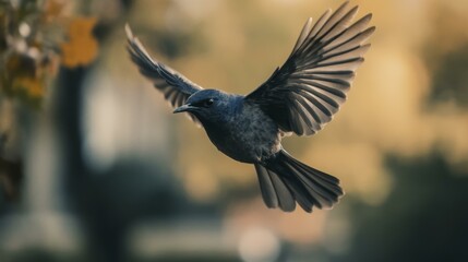 Blue bird in mid-flight with wings spread gracefully, natural background colors.