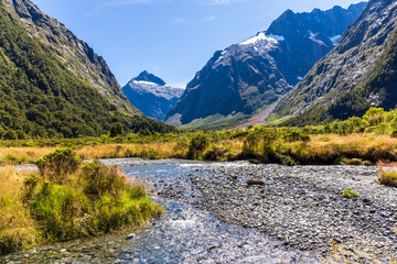 Obraz premium Monkey Creek near Highway 94 to Milford Sound in the South Island, New Zealand