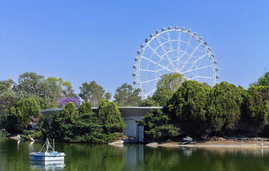 Fototapeta premium Chapu 2