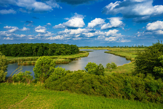 River landscape of the meandering Peene river in the Peene valley near Randow, Hanseatic Town of Demmin, Mecklenburg-Western Pomerania, Germany