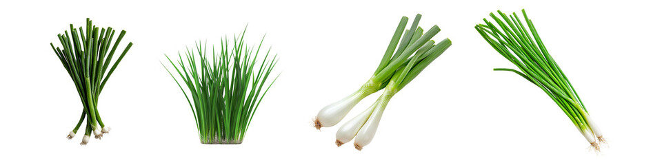 Set of fresh green onions isolated on transparent background
