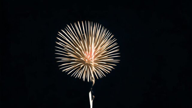 Vibrant fireworks illuminate night animated overlay, transparent 4K video, alpha channel, ProRes 4444