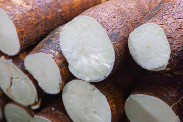Fresh cassava with peel