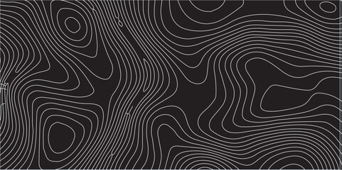 Fototapeta premium Modern Transparent PNG Topographic Line Map with Gracefully Curved, Fluid Wavy Patterns Over a White Background, Ideal for Minimalist Design, Cartography, and Professional Visual Projects