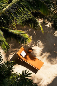 Tropical Poolside Relaxation with Sun Lounger and Palm Shadows