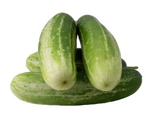 fresh cucumbers on white background.