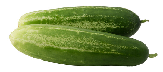 two fresh green cucumbers isolated on black