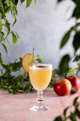 Refreshing apple cider cocktail garnished with apple slice and cinnamon