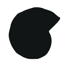 Vector hand drawn ammonite silhouette isolated on white background