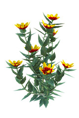 A bush of zinnia yellow 