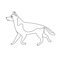 Vector flat hand drawn outline shepherd dog isolated on white background