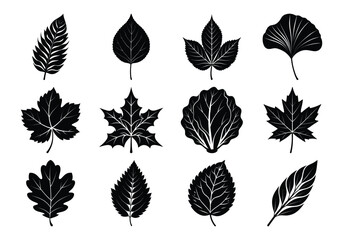 set of leaves silhouette