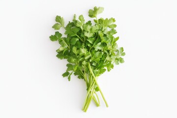 Obraz premium A fresh green parsley bunch displayed isolated on a white surface