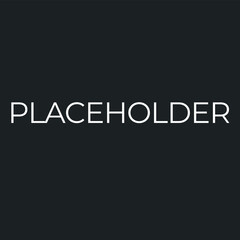 Photo Video  Placeholder Template Insert Your Image Here