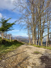 Hiking trail winding through basque countryside in spring.