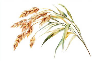 Golden Wheat Watercolor Painting Botanical Illustration Autumn Harvest Wheat Spikes Nature Plant Golden Brown Green Leaves Detailed Watercolor        