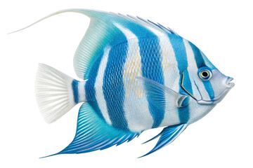 angel fish isolated on transparent background-generated by ai