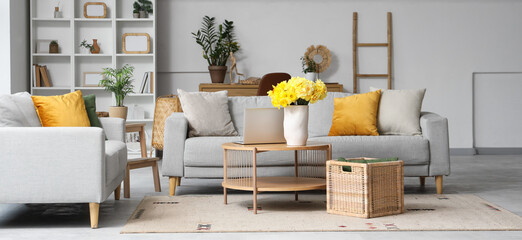 Interior of living room with grey sofas, laptop and yellow narcissus flowers on wooden coffee table