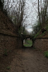 Narrow dirt path passing through a stone arch tunnel in Petrovaradin Fortress, Novi Sad, Serbia. Overgrown historic passageway surrounded by ancient brick walls and spring vegetation.
