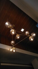 chandelier in the interior