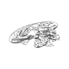 Vector monochrome, sketch of French baguette with pieces of parmesan cheese and garlic cloves.