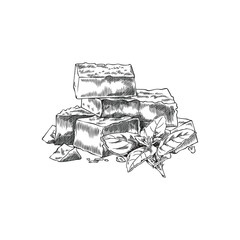 Cheese sketch, parmesan brick pieces with basil leaves, milk food production, hand drawn vector engraved healthy snack