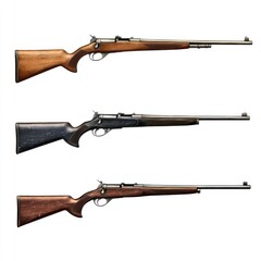 a collection of antique rifles arranged in a vertical composition, showcasing their design and craftsmanship. cartoon illustration