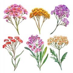 Obraz premium a collection of various colorful wildflowers with green leaves, showcasing the vibrant beauty of nature. watercolor illustration