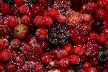 Bio Gartenernte, Beerenobst, Kirschenhälften, tiefgefroren, nah