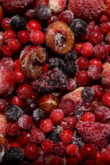 Bio Gartenernte, Beerenobst, Kirschenhälften, tiefgefroren, nah