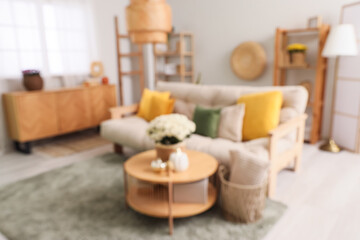 Interior of modern living room with comfortable sofa and chrysanthemum flowers on coffee table. Blurred view