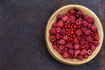 Frische Bio Garten Beeren (Himbeere, Ribisel, Stachelbeere)