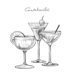 Hand drawn cocktail Illustrations. Sketch of three different cocktails in glassware, each garnished with fruit slices, olives, and straws