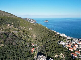 Naklejka premium noli