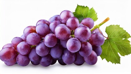 Fototapeta premium bunch of grapes clip art isolated on white background