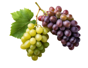 Grape Leaf Clusters on transparent background