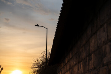 Latarnia uliczna na tle ciemnego nieba, minimalistyczna fotografia nocna   © Kacper