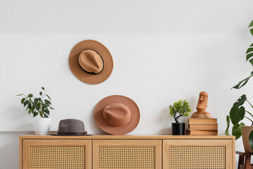Stylish hats with plants and books on commode near light wall in room