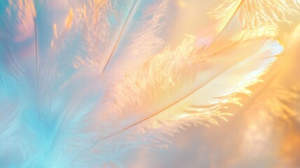 a soft, ethereal image of delicate feathers, with a mix of colors and textures to create a dreamy and gentle effect. The close-up perspective highlights the intricate details of each feather.