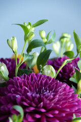 lilac dahlias with yellow roses in a bouquet on a light background close-up. bouquet of dahlias and roses