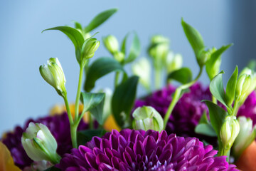 lilac dahlias with yellow roses in a bouquet on a light background close-up. bouquet of dahlias and roses