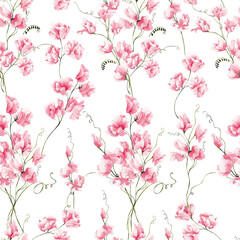 Seamless pattern with watercolor hand draw flowers of pink powder colors, delicate sweet pea, rose and wildflowers, meadow botanical, isolated on white background
