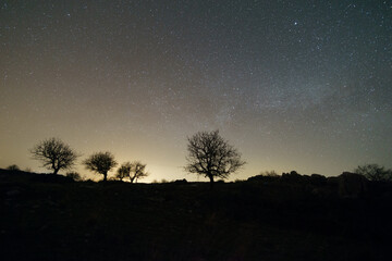Milky Way rising over greece landscape with trees in front, Arcadia, Peloponnese, Greece