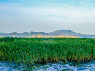 Lake Balaton with lush reed beds in the foreground and iconic flat-topped hills in the background,...