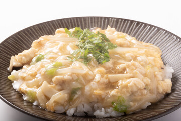 鶏ひき肉と白菜のあんかけご飯