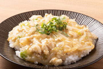 鶏ひき肉と白菜のあんかけご飯